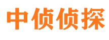 榆树市调查公司